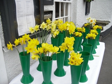 Daffodil-Show.jpg